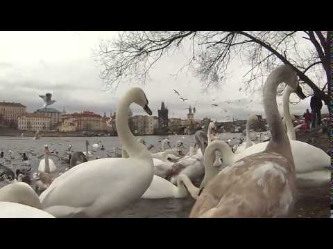 ПРАГА, Чехия