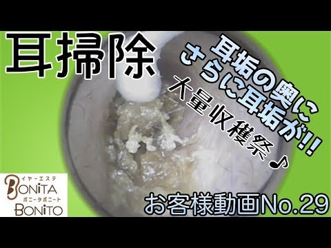 download lagu mp3 mp4 Bonita Bonito Tokyo, download lagu Bonita Bonito Tokyo gratis, unduh video klip Bonita Bonito Tokyo