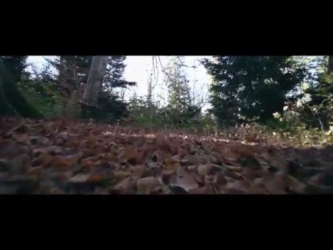 naVita - geshundsein.ch  Werbespot 2   1080p 25fps