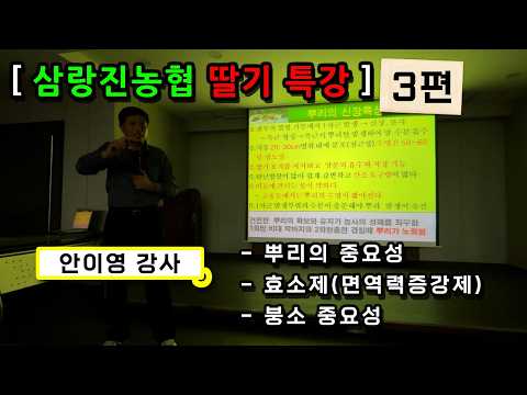 [경남 밀양] 딸기 생육 및 병충해 방지! 안이영 강사 딸기 특강(3편)