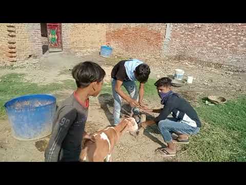 EID का बाजार ||  || 3TEAM ||3TM||