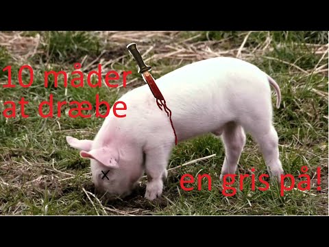 10 måder at dræbe en gris på