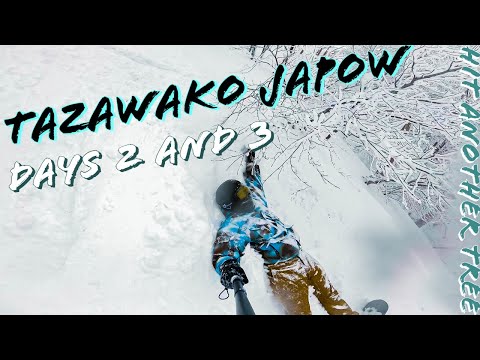 The #JAPOW is REAL DEEP!!! Tazawako