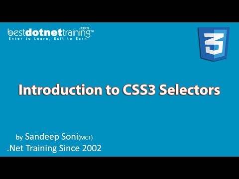 CSS Tutorial for Beginners | Selectors in CSS CSS Basics Introduction to CSS