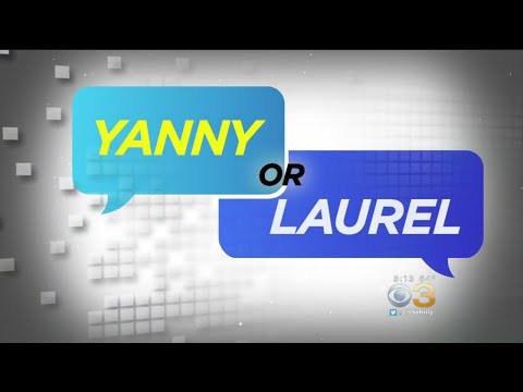 The Science Of Hearing Yanny Or Laurel