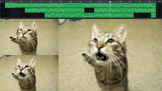 Cover art for meowsynth rude buster