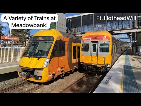 Trains at Meadowbank on a Weekday [Ft. @HotheadWill] | Train Vlog #49