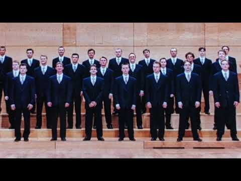 AMBROŽ ČOPI, Tihožitja (France Pibernik), moški zbor APZ TONE TOMŠiČ, Stojan Kuret, v živo