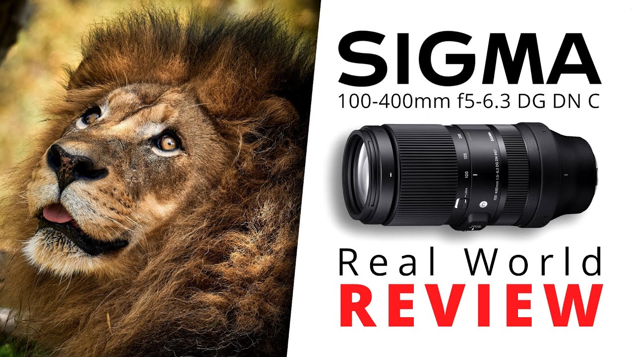 Best Long Zoom for the $$ | Sigma 100-400mm f5-6.3 DG DN Contemporary | 1 Year Review
