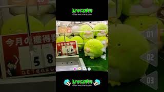 クレーンゲーム史上最大の神ワザ