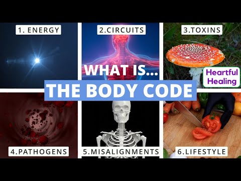 WHAT IS THE BODY CODE?