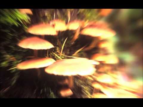 Atomic Pulse vs The Freak Show - MeloDyme II (Original Mix) 2012 PSY