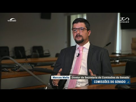 Comissões têm papel fundamental no processo legislativo