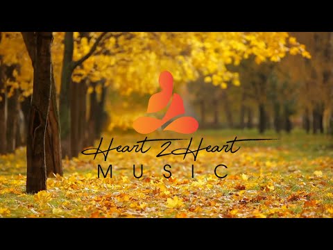 Relaxing Piano Music with Bird Sounds -NO ADS- 🖤17