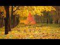 Relaxing Piano Music With Bird Sounds NO ADS 17