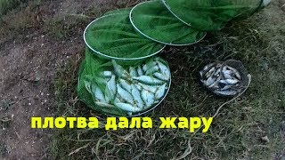Ловля плотвы в октябре на волги