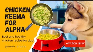 CHICKEN KEEMA FOR ALPHA | GROUND CHICKEN RECIPE FOR DOGS | CHICKEN FOR DOGS | dear alpha | dog food