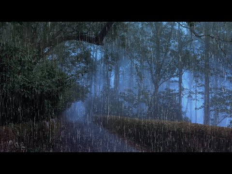 Sleep Instantly with Heavy Rain at Night without Thunder - 10 Hours Rain Sounds for Sleeping