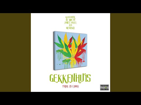 Gekkenhuis (feat. Lil' Moctu, James 3allel, Asy & Meshakil)