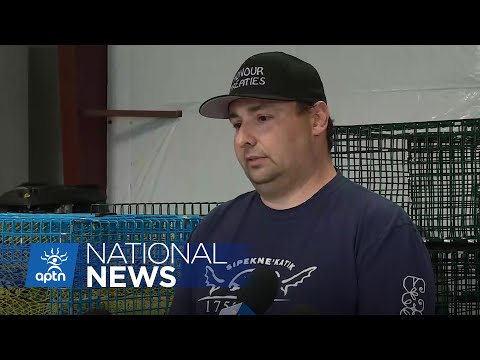 Sipekne'katik chief is providing an update on fishery operations | APTN News