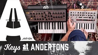 Video thumbnail for Synth Battle! - Moog Sub Phatty vs. Korg Monologue by Andertons Synths, Keys and Tech