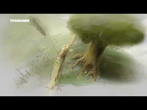 Ernest Et Célestine S01E18 - Pendant que l'orage gronde