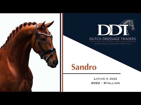 Sandro