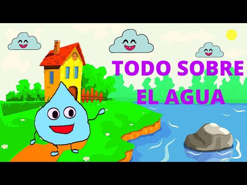 EL AGUA PARA NIÑOS/ En Español/ EXPLICACIÓN para niños/ El ciclo/Que es? ¿ Como es? ¿ Donde está?..
