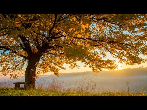 Onisim Grab | In the Breeze of Dawn