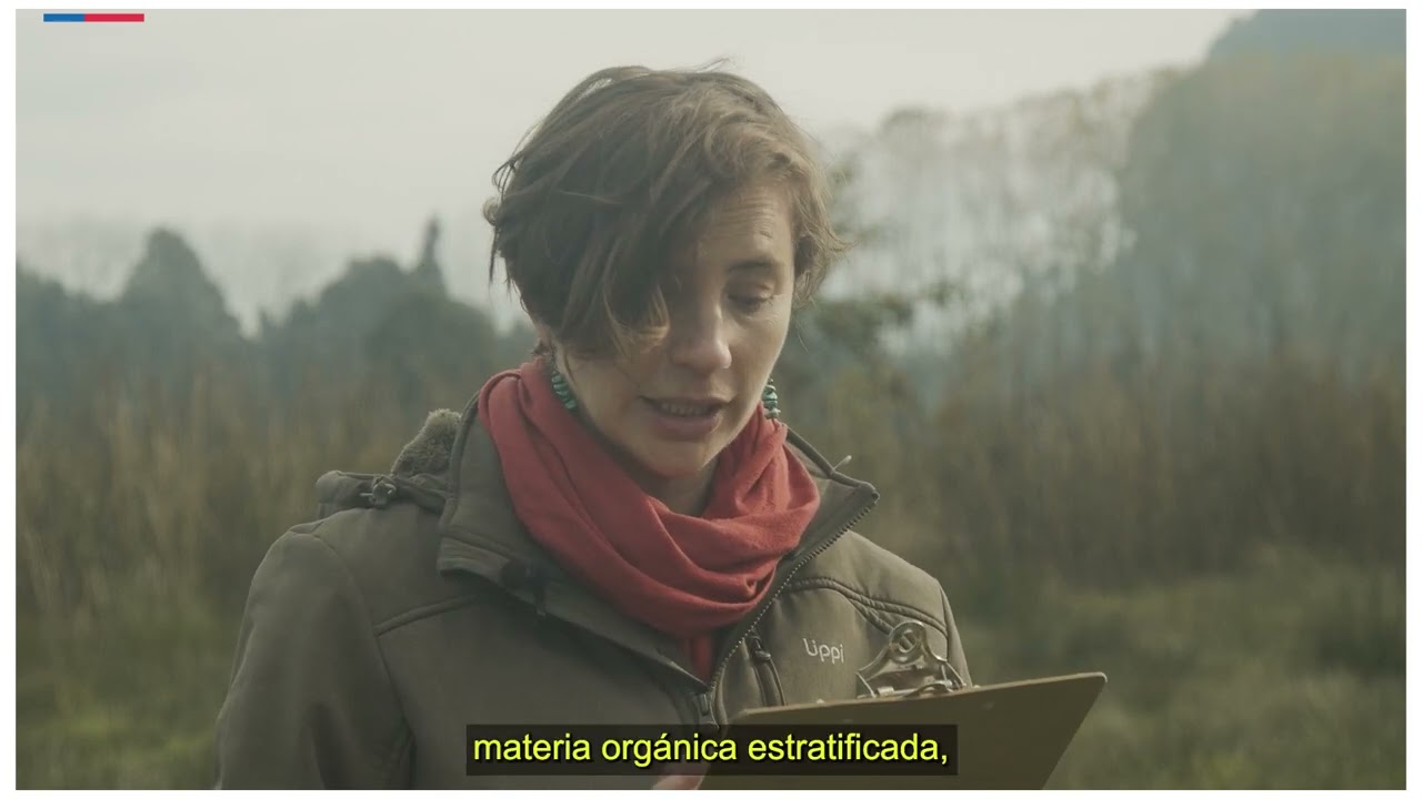 Módulo 4 Video 3 - Indicadores de suelo hídrico