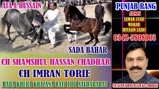 Ata e Hussain l Sada Bahar l Horse Dance l Baba Kh
