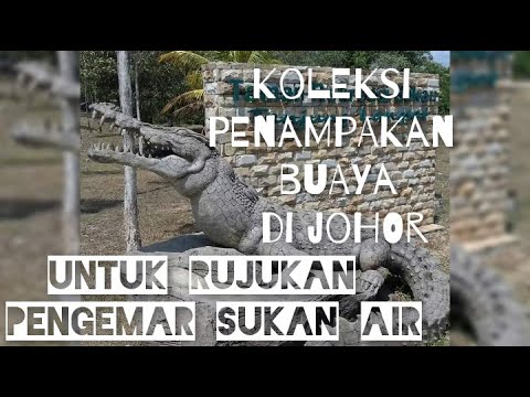 Penampakan Buaya Selatan II Rujukan Pengemar Sukan AiR