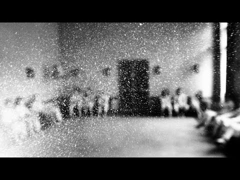 Raklap - Esőerdős élmények a kádban (Official Video)