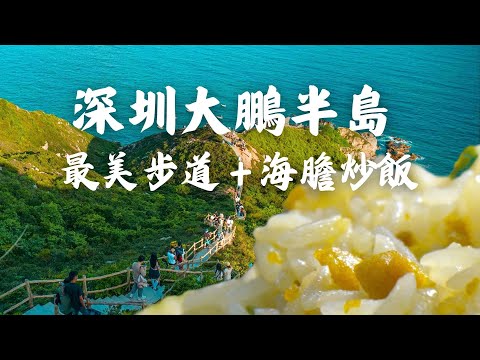 深圳大鵬半島😎懶人徒步打卡攻略&景點推介丨必行星爺電影美人魚🧜‍♀️取景地楊梅坑丨國家地理雜誌力推深圳最美玻璃海丨東西涌最刺激回程玩法🤪丨水頭海鮮街¥155超抵食足料海鮮大餐丨#大灣區 #旅遊攻略