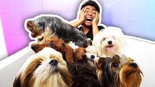 PUPPY BATH CHALLENGE!