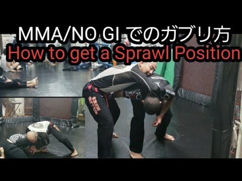 総合格闘技やノーギでのガブリ方。 How to get a Sprawl Position.