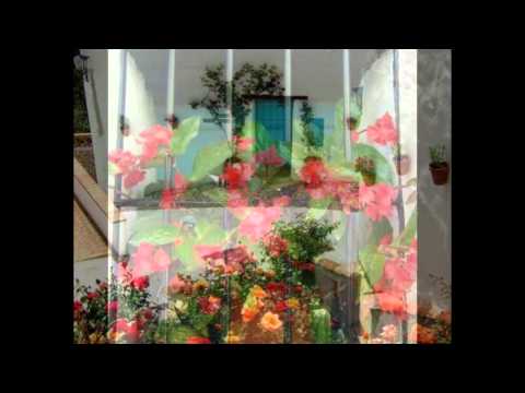 Casa Rosa (Holiday Rental House In Malaga, Andalucia)