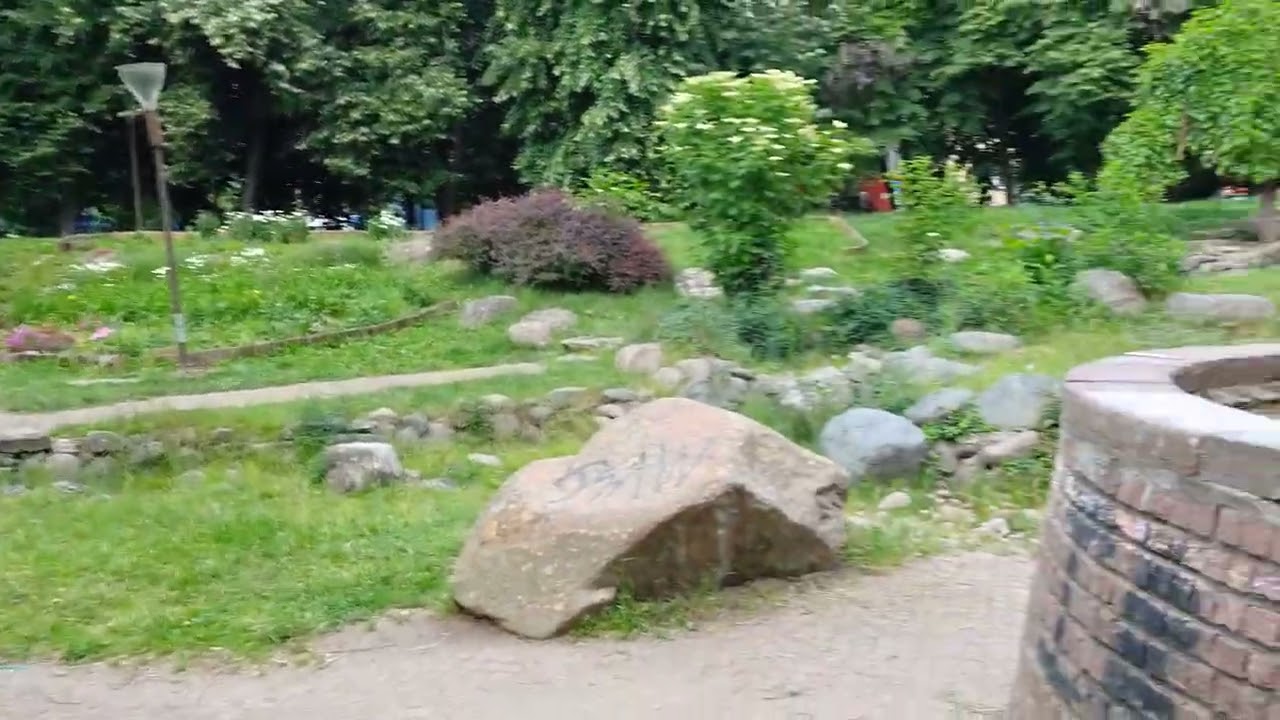 Video Thumbnail
