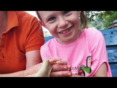 JAZ, NOVINAR 2019: Bučke