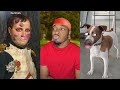 3 HOURS Best Of Dimpey6 TikTok Compilation Funny ImDimpey Shorts 2024