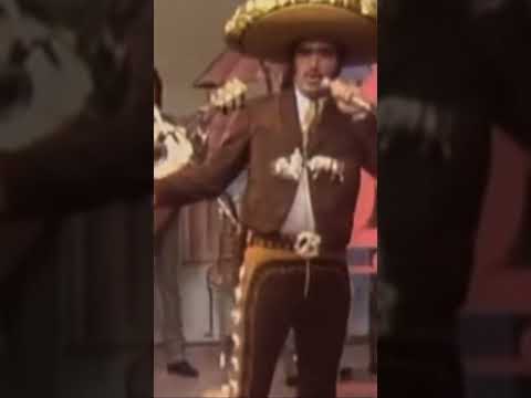 Volver Volver - Vicente Fernandez