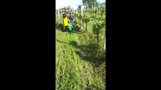 https://www.youtube.com/embed/PUFRxDDV_V8