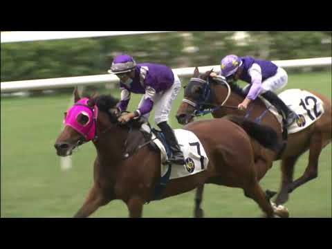 31/10/2021 (136) Seaweed Fortune- Vincent Ho