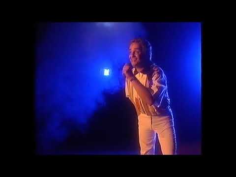 Zdeněk Izer - Dalibor Janda Padá Hvězda (cover version)