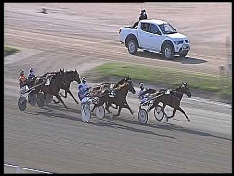 Trotto 11/06/2020 - 8ª corsa