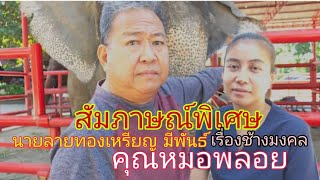 สัมภาษณ์พิเศษ นายลายทองเหรียญ มีพันธ์ คุณหมอพลอย,วิถีช้างและช้างมงคล(รถถังย้ายบ้านใหม่แล้ว)