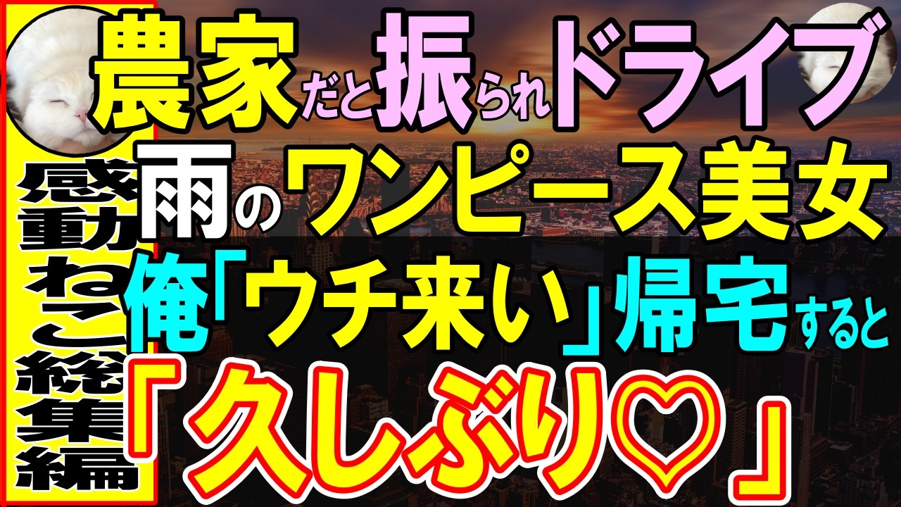 【感動する話】農家を理由に彼女にふられた俺。傷心で大雨の夜にドライブしていると、助けを求める女性→俺「うちすぐそこなので…」と連れて帰ると嬉しそうな女性「お久しぶりです」【いい話・泣ける話・朗読】