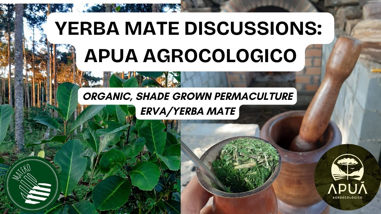 Apua Agroecológico — Feature video thumbnail