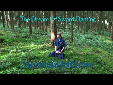 The Dream Of Sword Fighting