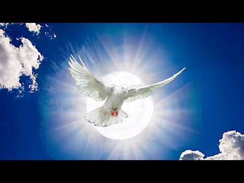 God’s laws of peace “are the laws of freedom, but yours are the laws of bondage” and chaos—Pod 97